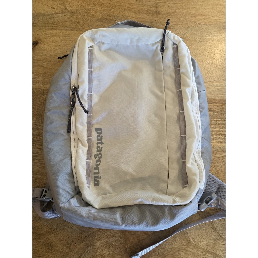Patagonia Lightweight Men's Backpack in Light Gray and Cream